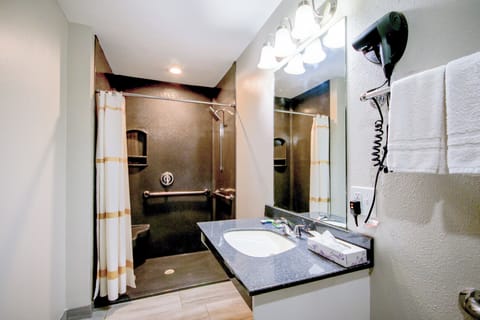 Room, 1 King Bed, Non Smoking | Bathroom | Free toiletries, hair dryer, towels