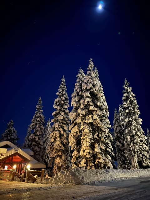 A moonlit winter night.