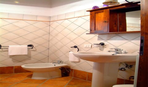 Apartment, 1 Bedroom, Hill View | Bathroom | Shower, free toiletries, hair dryer, bidet