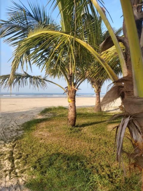 On the beach