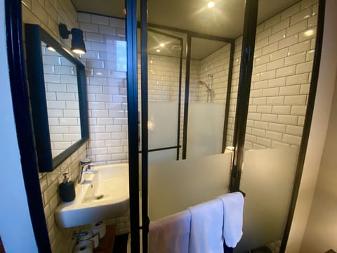 Double Room | Bathroom | Shower, hair dryer, towels, soap