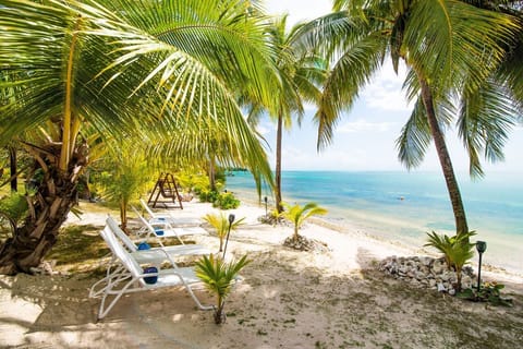 The beach