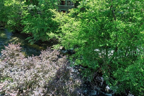 wonderful river view