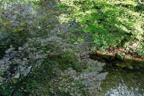 relaxing river sounds
