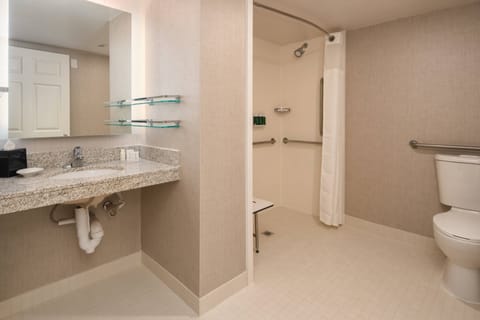 Combined shower/tub, free toiletries, hair dryer, towels