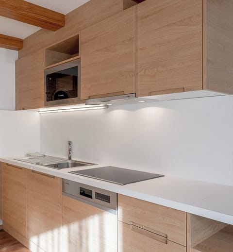Apartment (up to 4 people, , Ap. 9) | Private kitchen