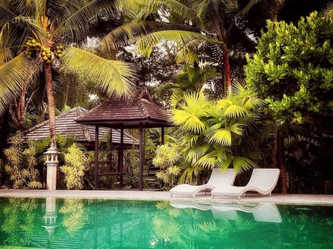 Outdoor pool, sun loungers