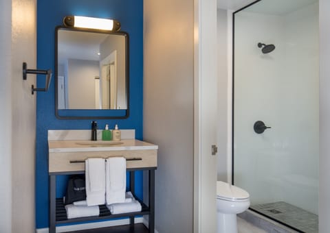 Shower, free toiletries, hair dryer, bathrobes