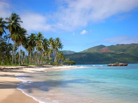 Beach nearby, white sand, sun loungers, 3 beach bars