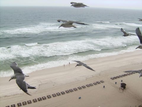 View from the Condo!!!