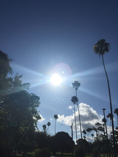 Welcome to Palma Sola Park!