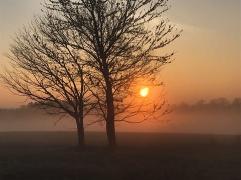 Foggy sunrise - view from Bedrooms Two and Three

