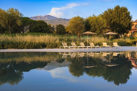 Seasonal outdoor pool, pool umbrellas, sun loungers