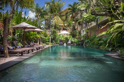 Outdoor pool, sun loungers