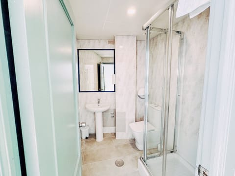 Hair dryer, bidet, towels