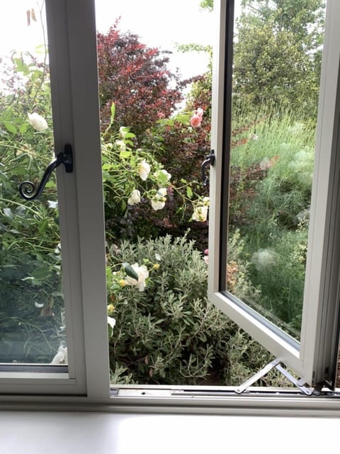 View from the downstairs bedroom.