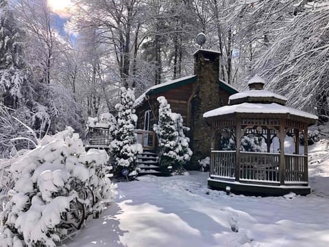 Enjoy a Winter Wonderland as the cabin is located in the High Country. 