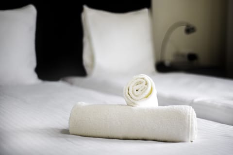 Deluxe Double or Twin Room | Desk, free WiFi