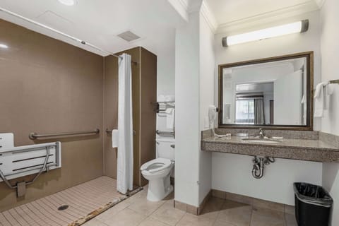 Combined shower/tub, free toiletries, hair dryer, towels