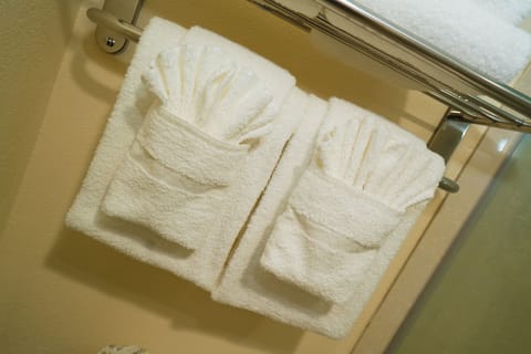 Free toiletries, hair dryer, towels