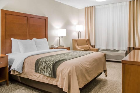 Premium bedding, individually decorated, individually furnished