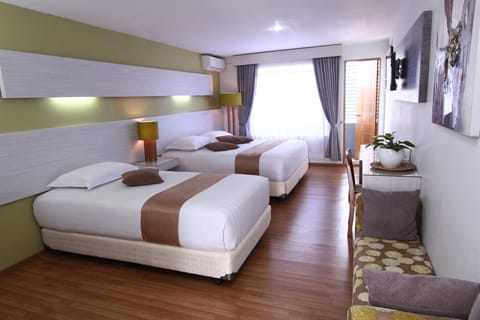 Family Room | Desk, iron/ironing board, free WiFi