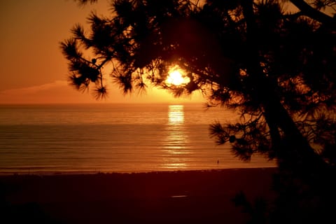 View from Primary Bedroom Balcony (1)