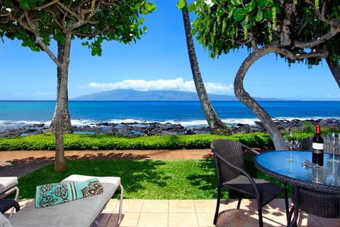 View from the lanai