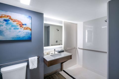 Room, 1 King Bed, Accessible, Non Smoking | Bathroom shower