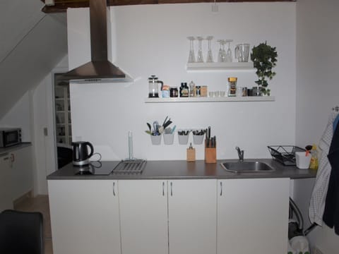 Apartment 3 | Private kitchenette | Fridge, microwave, electric kettle, cookware/dishes/utensils