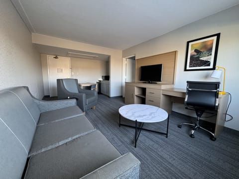 Suite, 1 King Bed with Sofa bed, Non Smoking | Living area | 50-inch TV with cable channels