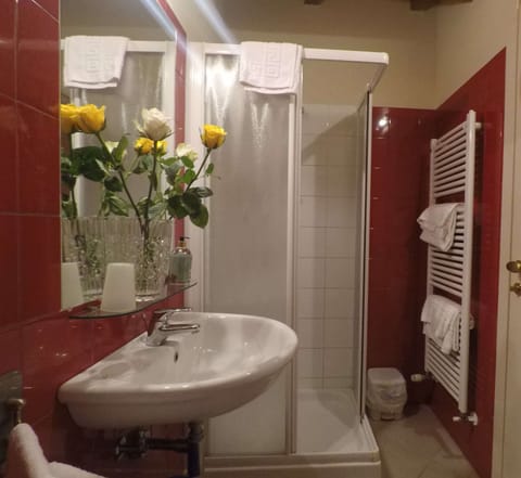 Shower, free toiletries, hair dryer, bidet