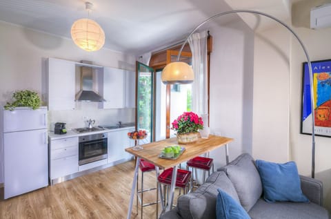 Studio, Terrace | Private kitchenette | Fridge, microwave, stovetop, cookware/dishes/utensils