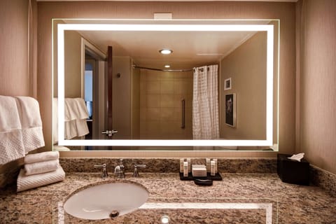 Combined shower/tub, free toiletries, hair dryer, towels