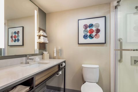 Combined shower/tub, free toiletries, hair dryer, towels