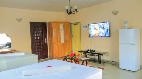 42-inch plasma TV with satellite channels, TV, first-run movies