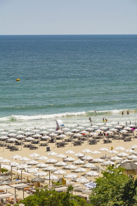 Beach/ocean view