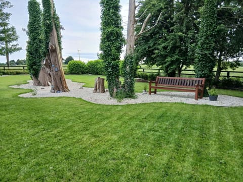 Comfort House | Terrace/patio