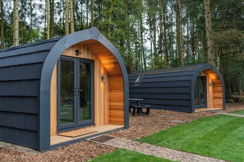 Standard Cabin | Lake view