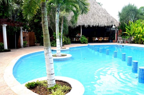 Outdoor pool, sun loungers