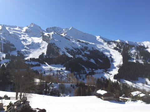 Spectacular apartment view: Facing due South to La Balme and the best pistes!