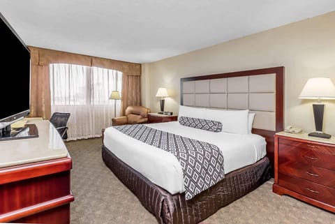 Premium bedding, pillowtop beds, in-room safe, individually decorated