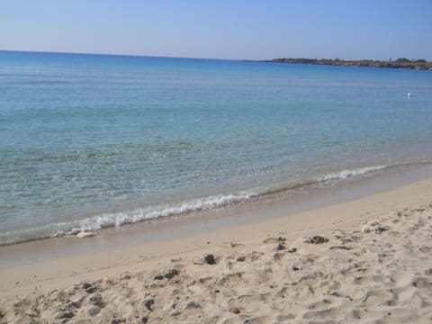 On the beach
