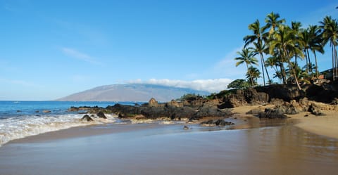 Kamaole Beach Royale - 300 yards to Kam I/ Charlie Young Beach