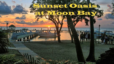 Your view from Sunset Oasis at Moon Bay