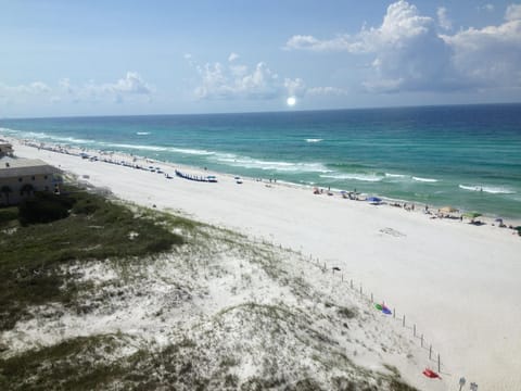 AWESOME GULF & BEACHG VIEWS - AWESOME GULF & BEACHG VIEWS