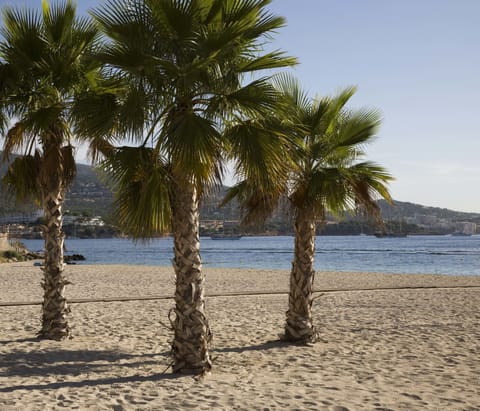 Beach nearby, windsurfing