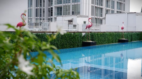 Rooftop pool