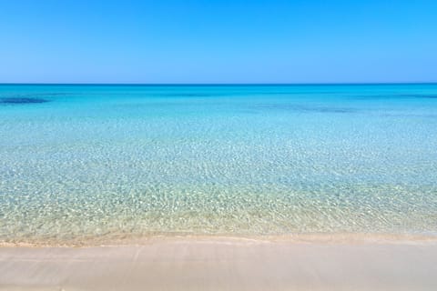 Private beach nearby, white sand, free beach shuttle, sun loungers