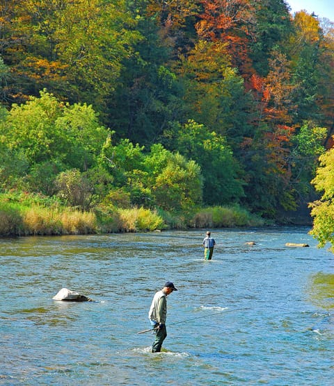 Fly Fishing: Rainbow, Brown & Brook Trout (All game fish:  Catch & release only)